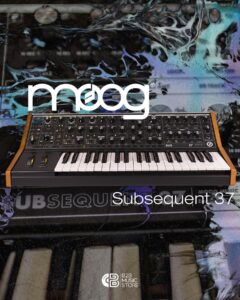 b2b-music-store-diseño-moogsubsequent-37-1